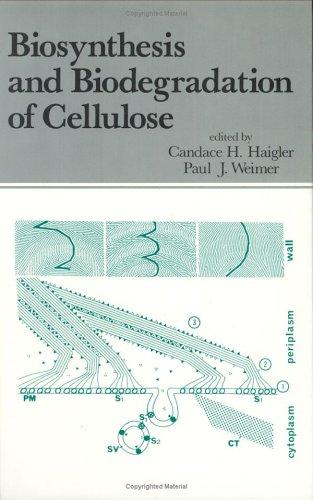 Biosynthesis and biodegradation of cellulose